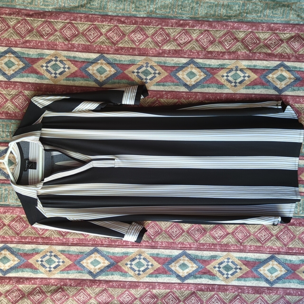EN Focus Shirt Dress